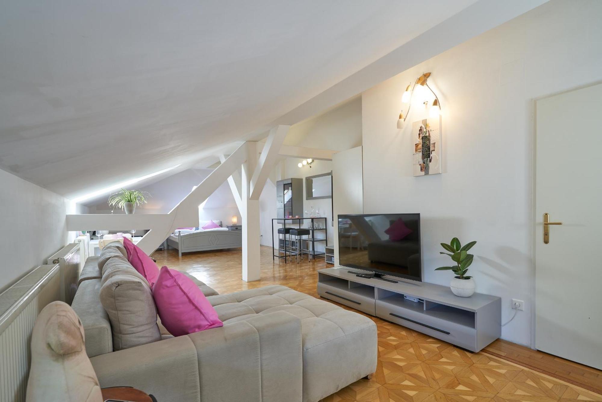 Big Apartment In Guesthouse บาเดน ภายนอก รูปภาพ